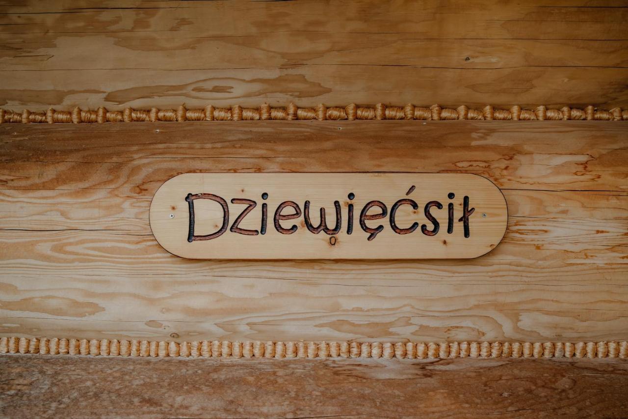 Osada Witow - Dom „Dziewiecsil” Exterior photo